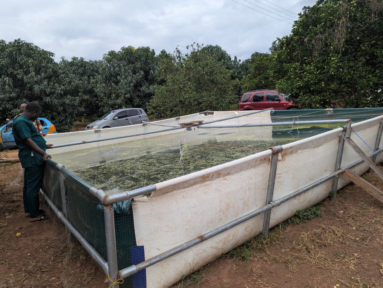 Our Farm