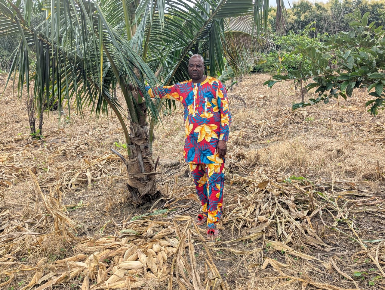 Organic Farming