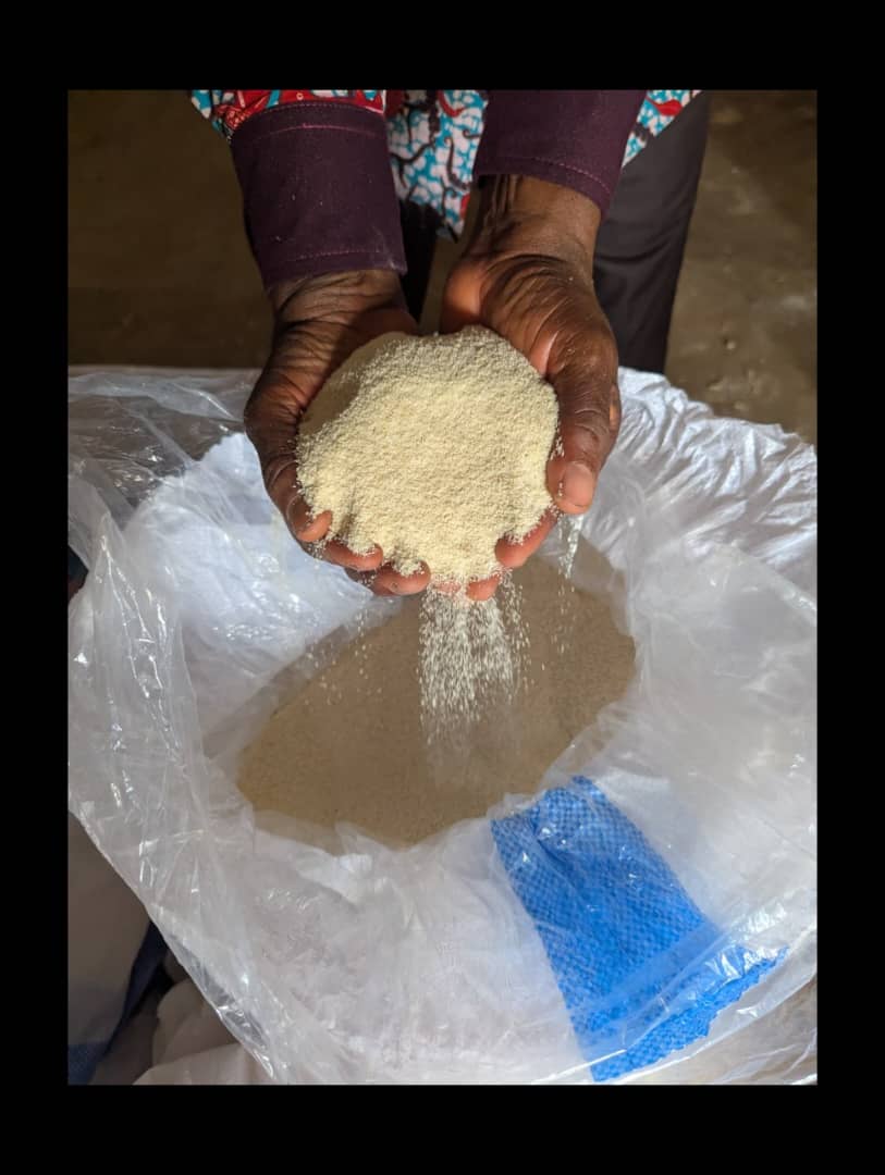 Gari