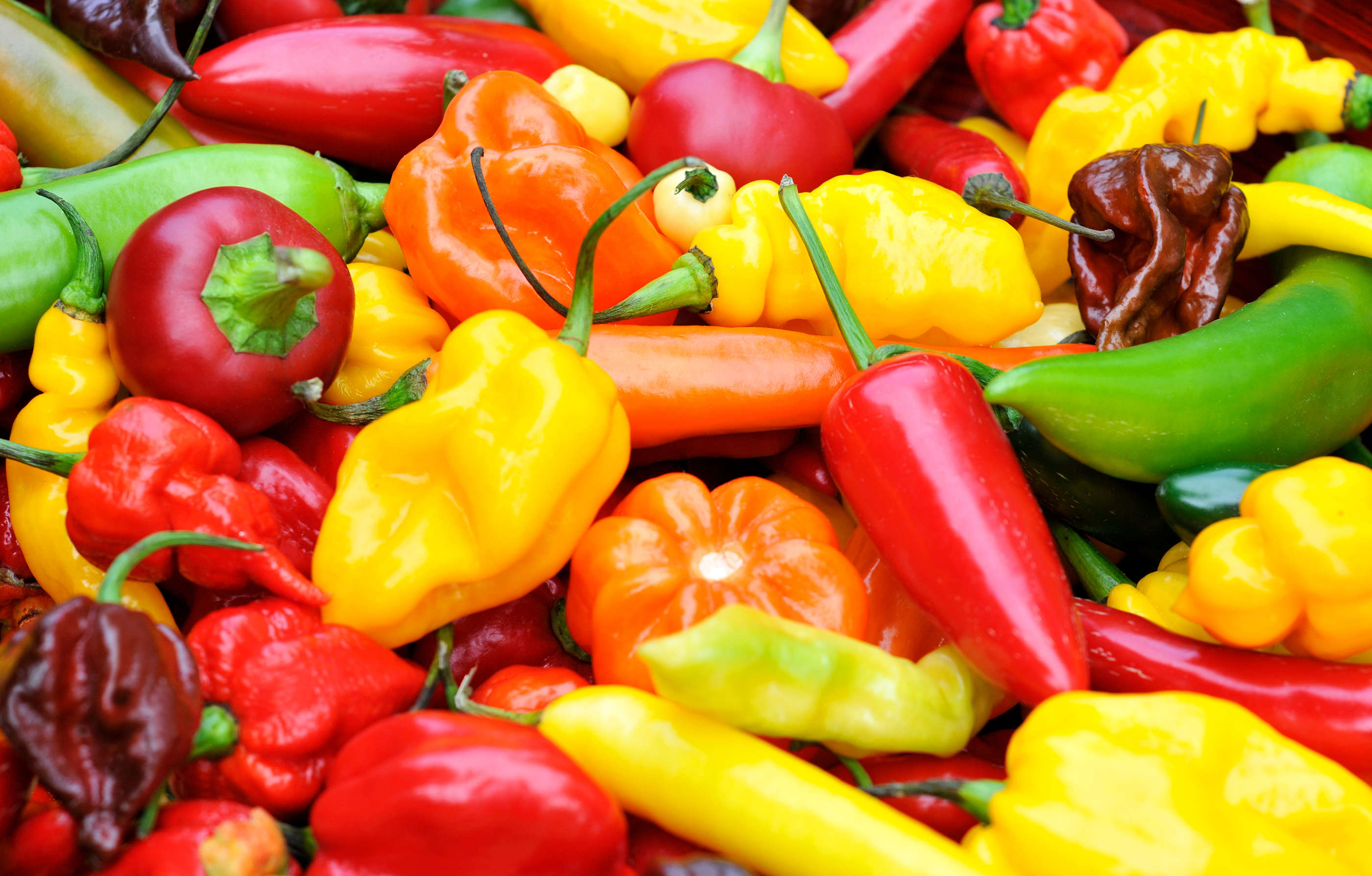 Habanero Peppers